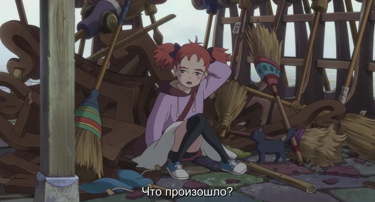 Мэри и ведьмин цветок