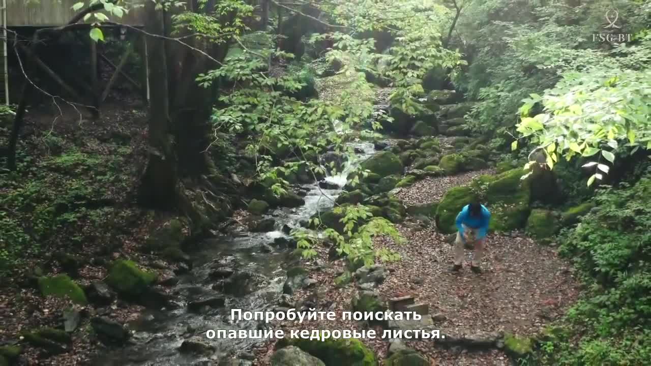 Соло кемпинг на двоих