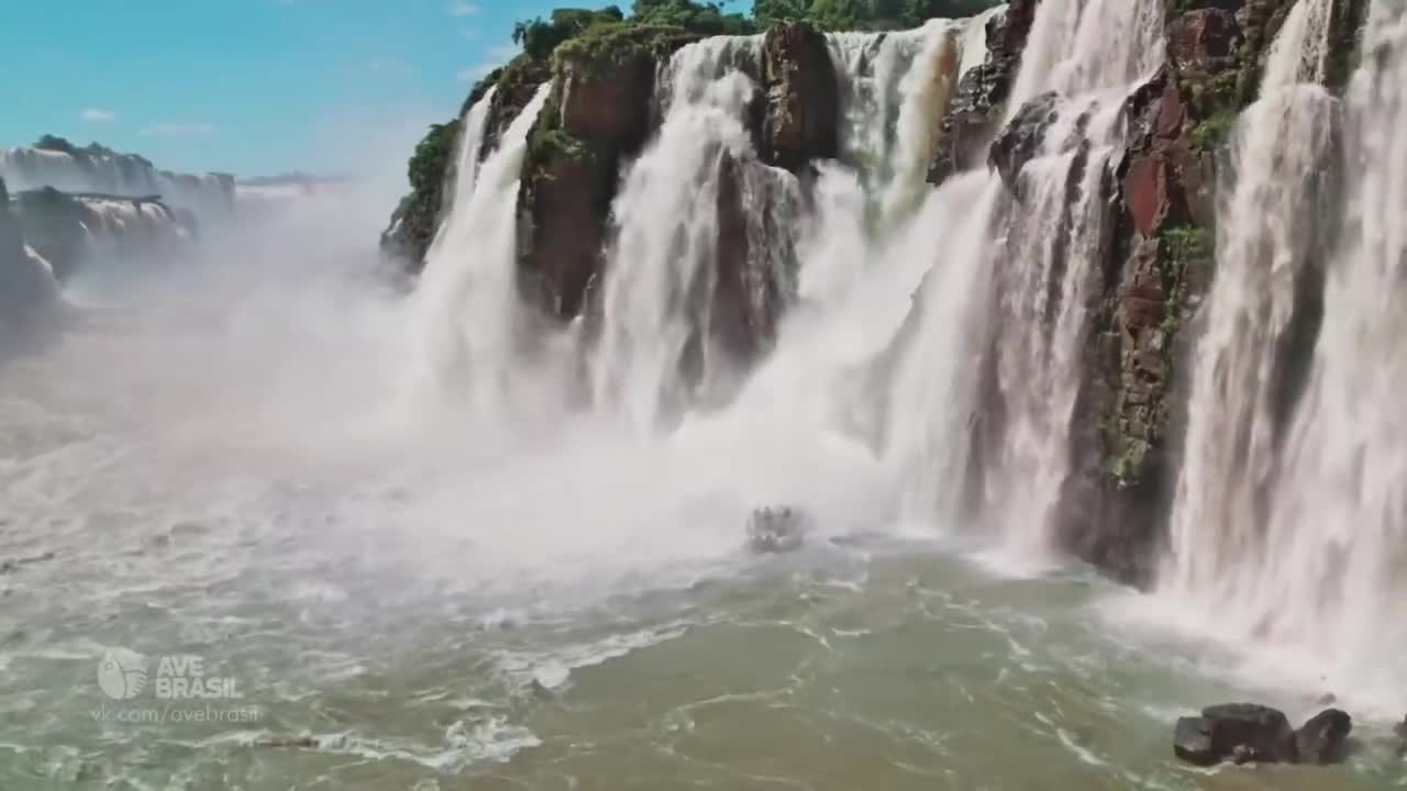 Все дозволено