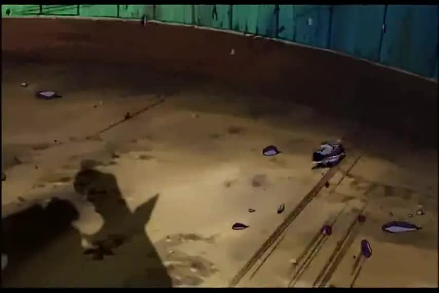 One Piece: Mezase! Kaizoku Yakyuu Ou