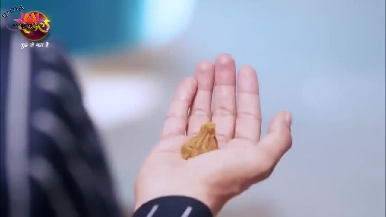 Шубх и Шагун
