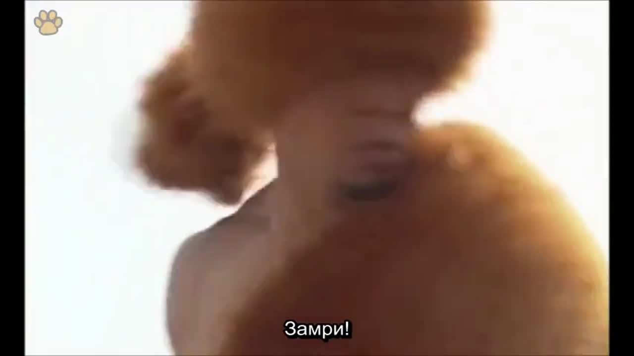 Истории о династии Хань